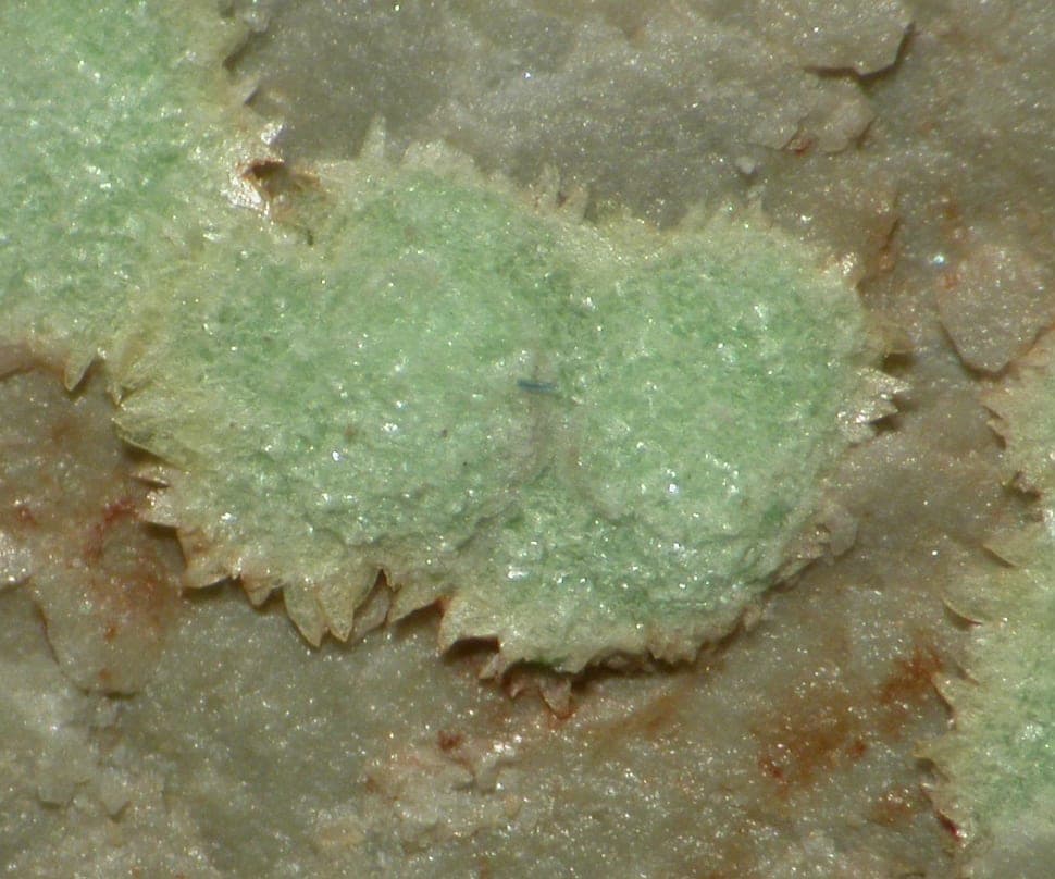 Abernathyite mineral