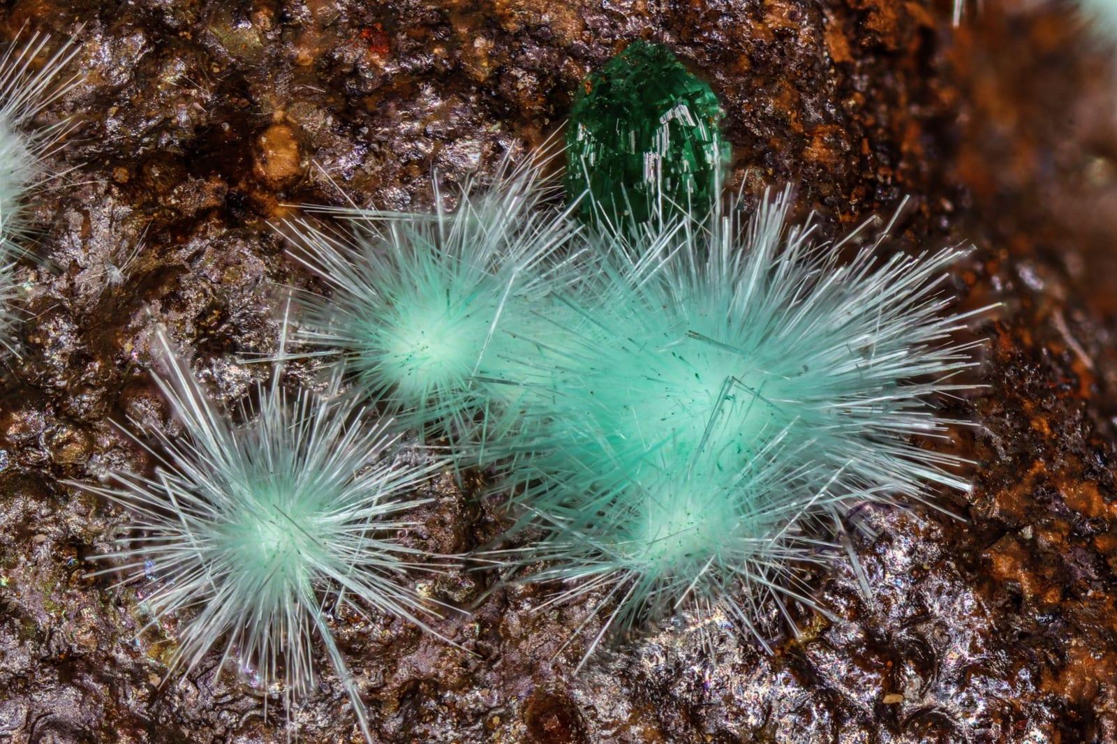 Agardite-(Nd) mineral — Agardite (Nd)