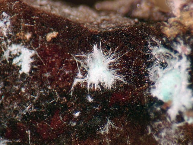 Agardite-(Y) mineral — Agardite (Y)