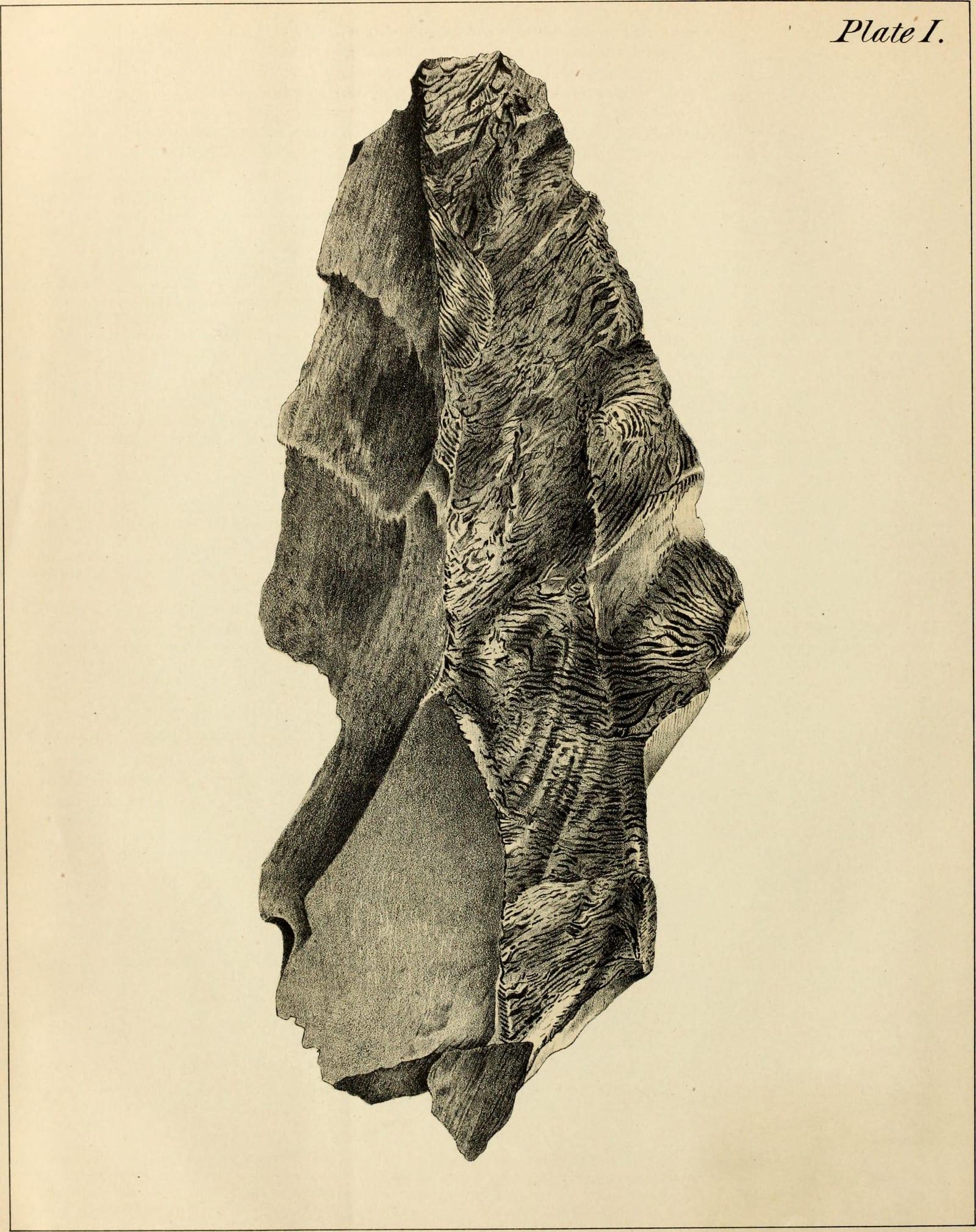 Albertite mineral