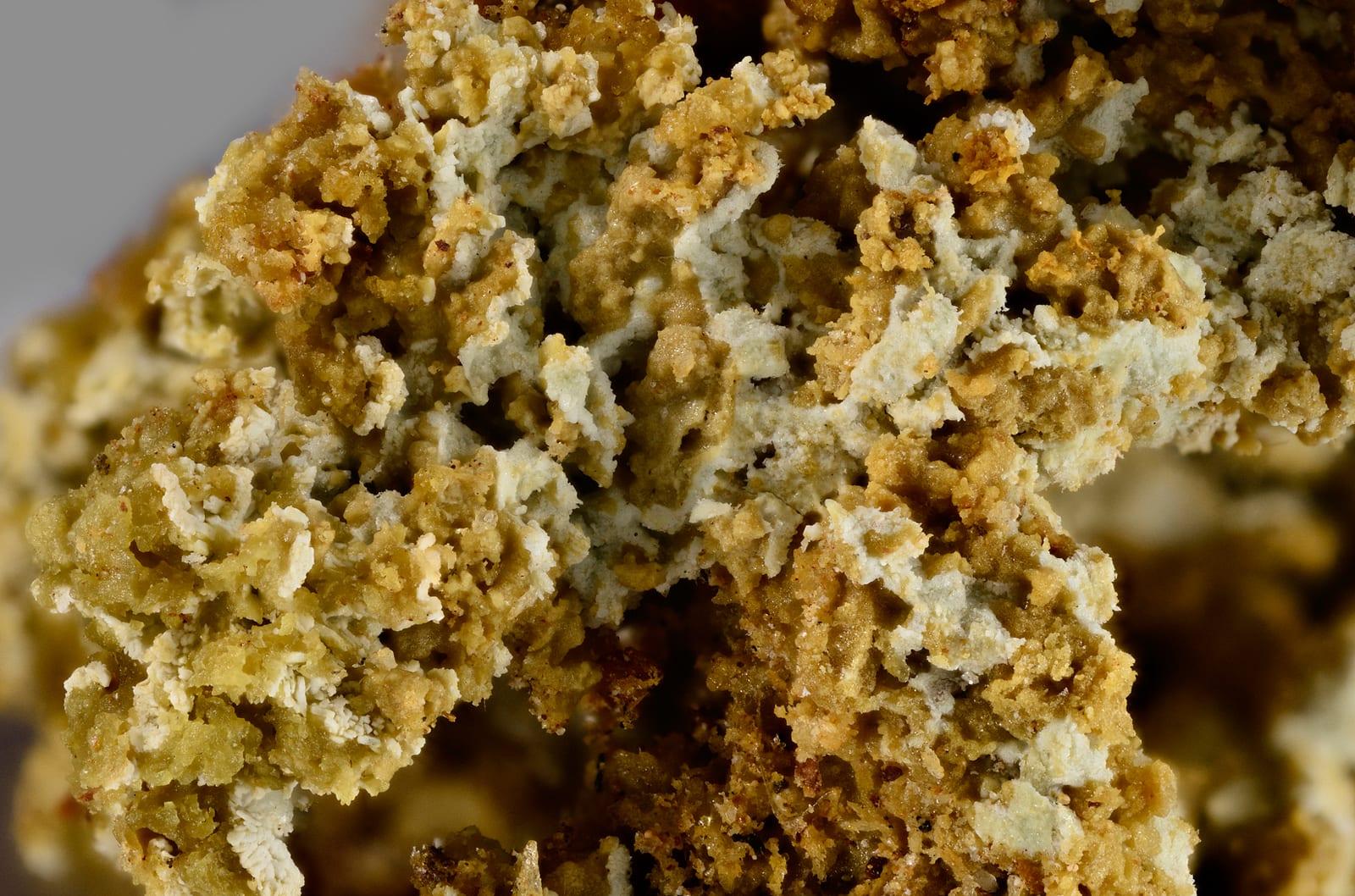 Alpersite mineral