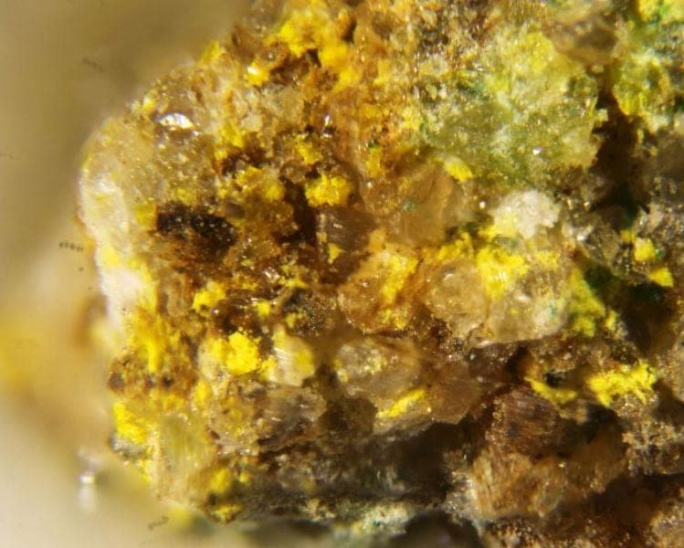 Ammoniozippeite mineral