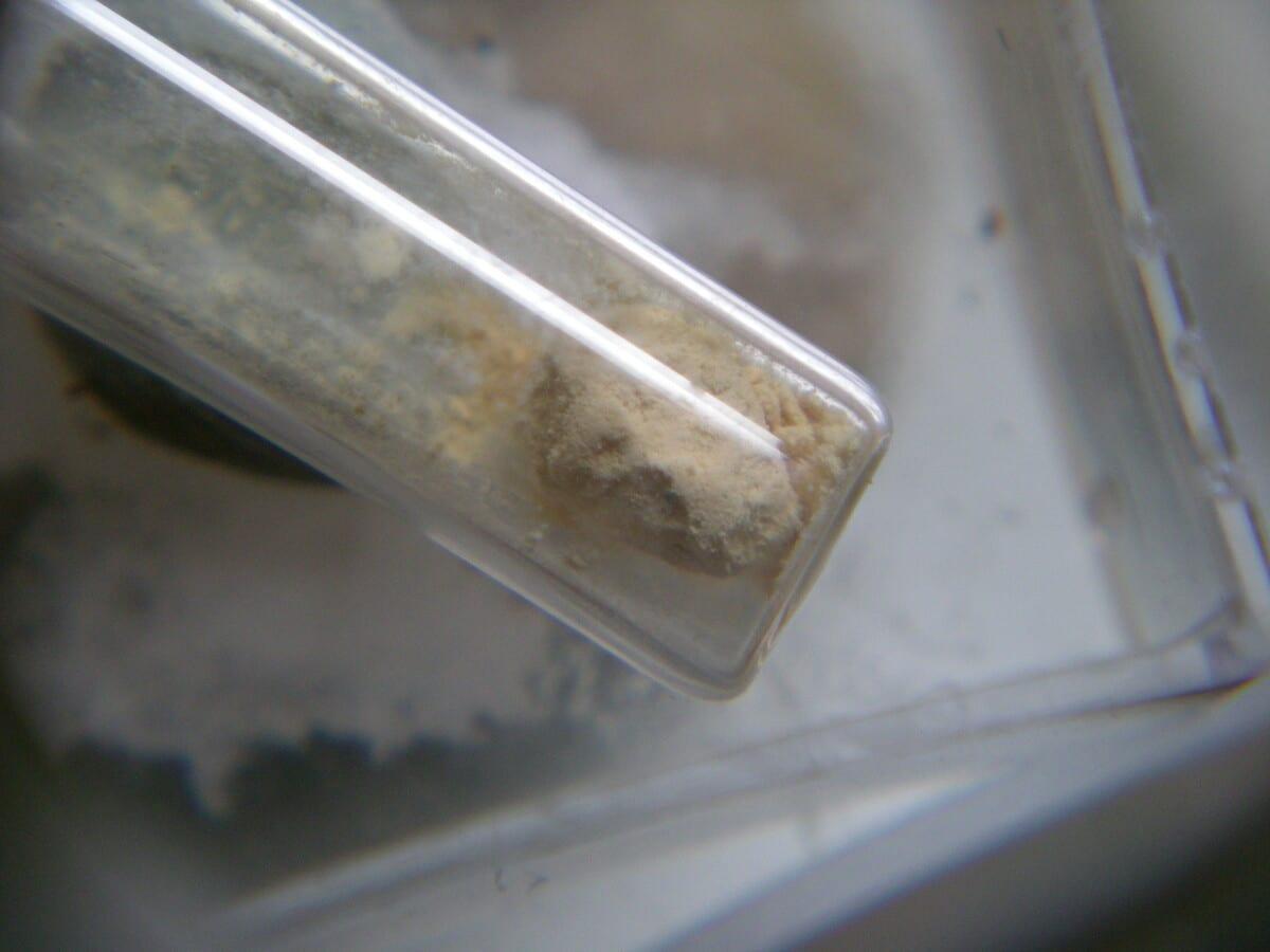 Ardealite mineral