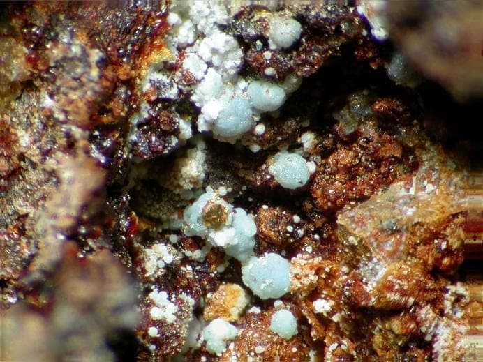Arsenocrandallite mineral