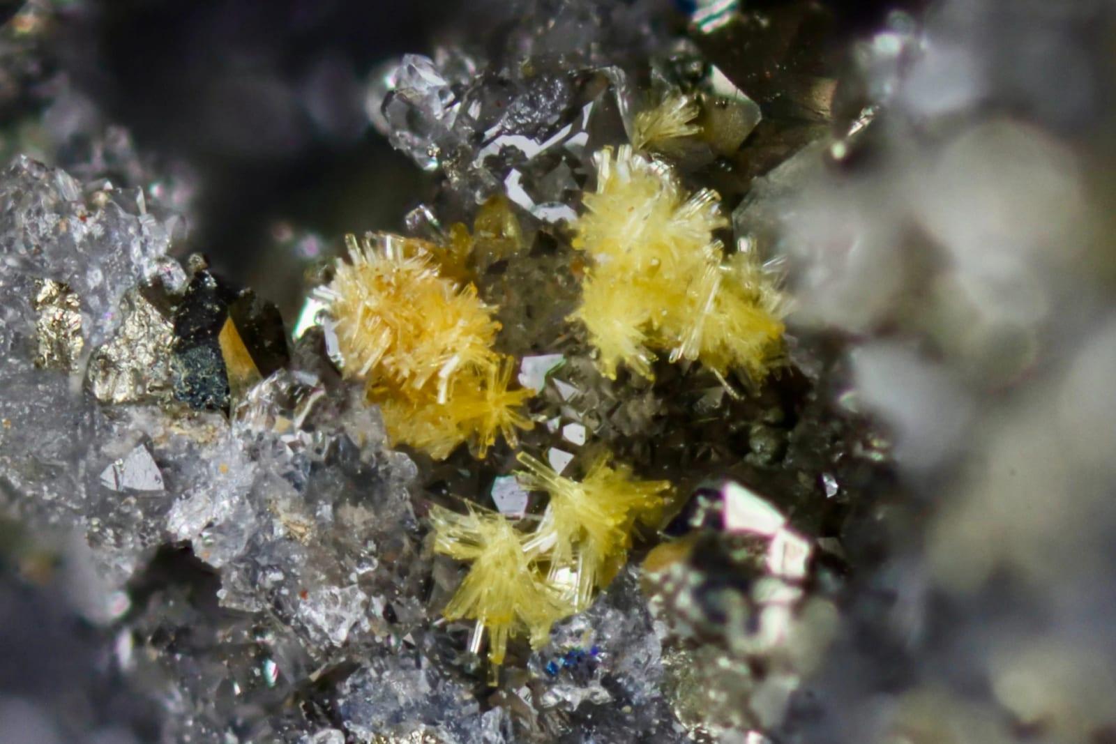 Auriacusite mineral