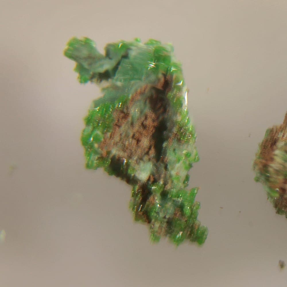 Avdoninite mineral