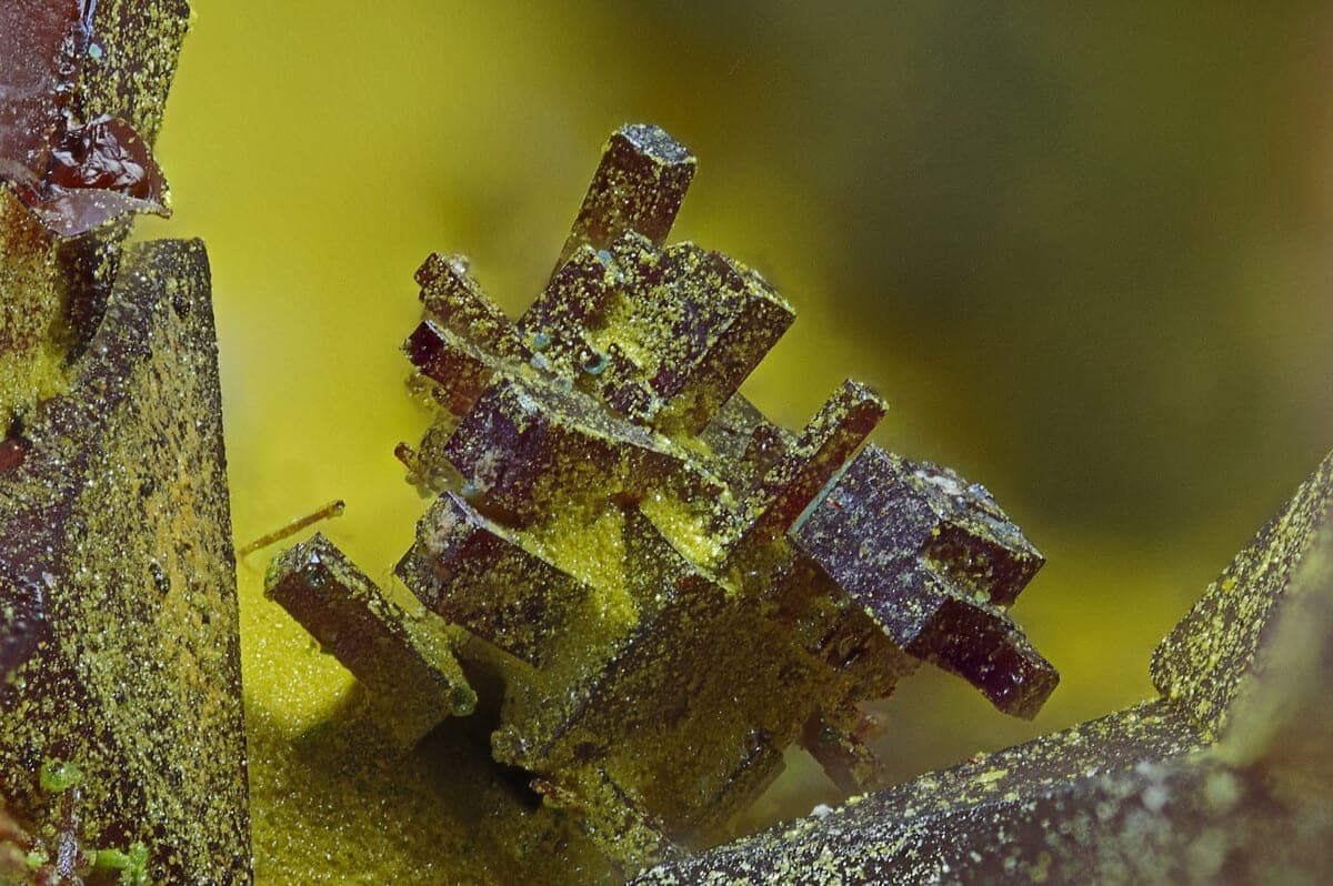 Beaverite-(Cu) mineral — Mineralatlas Lexikon   Beaverite (Cu)