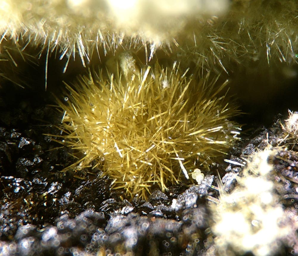 Bendadaite mineral