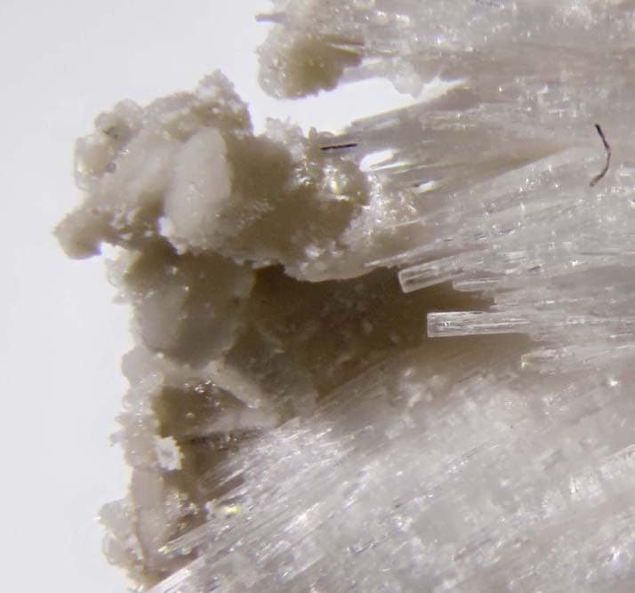 Berborite mineral