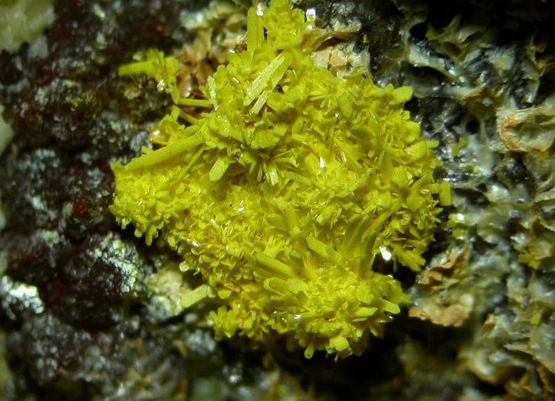 Bergenite mineral
