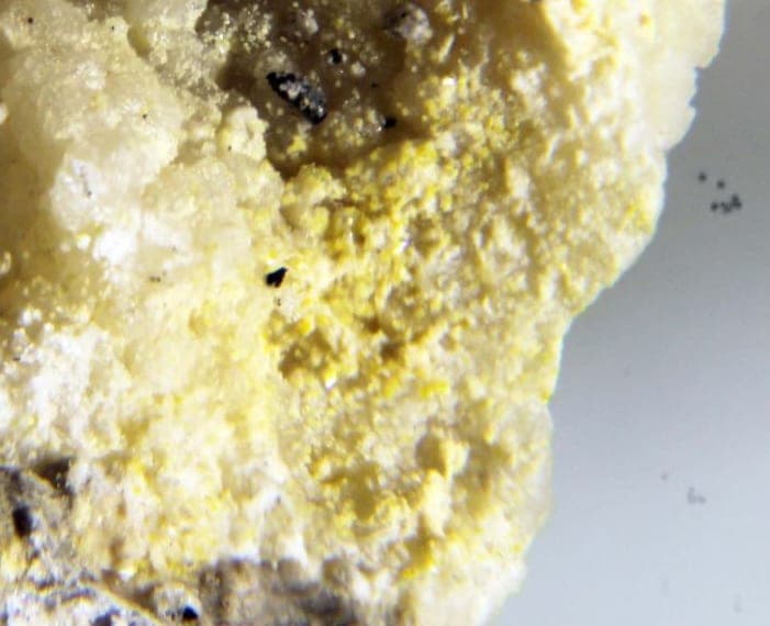 Berndtite mineral