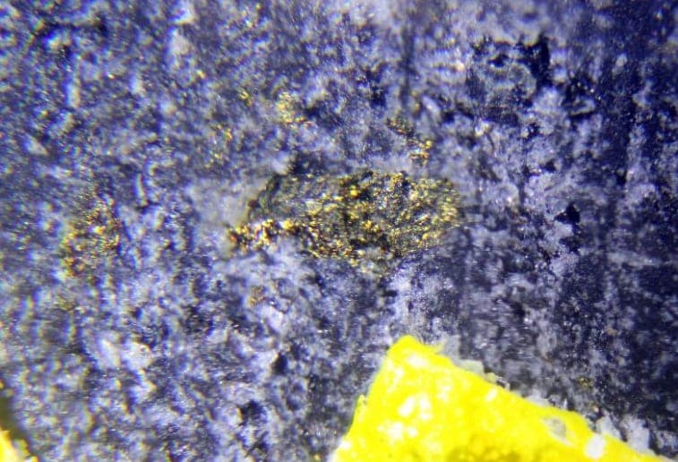 Bismutohauchecornite mineral