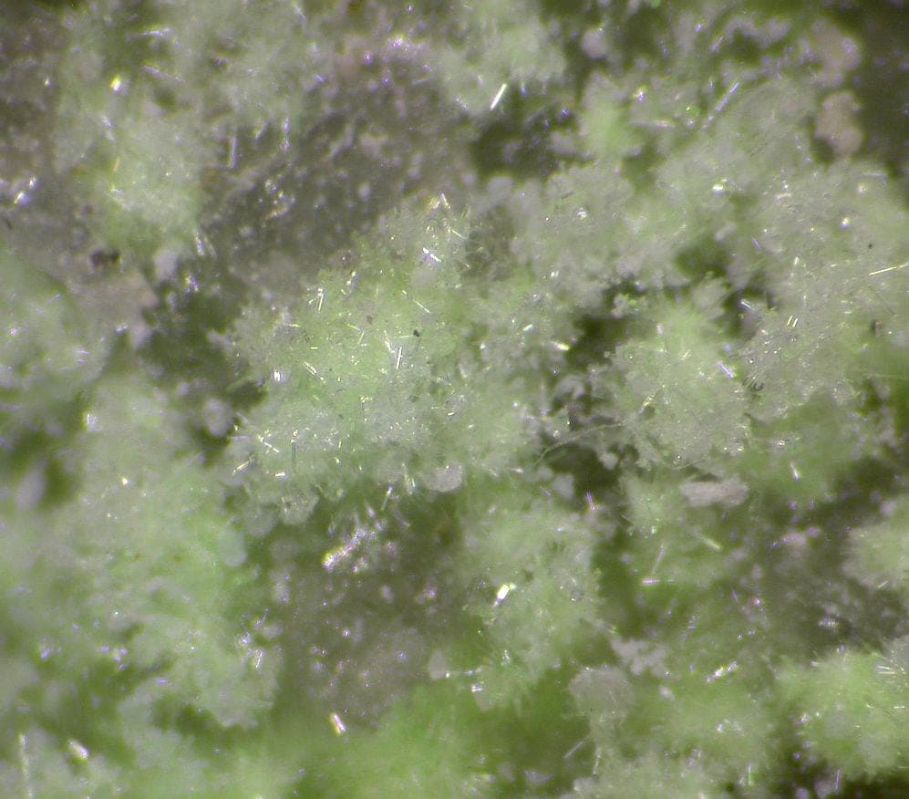 Bluelizardite mineral
