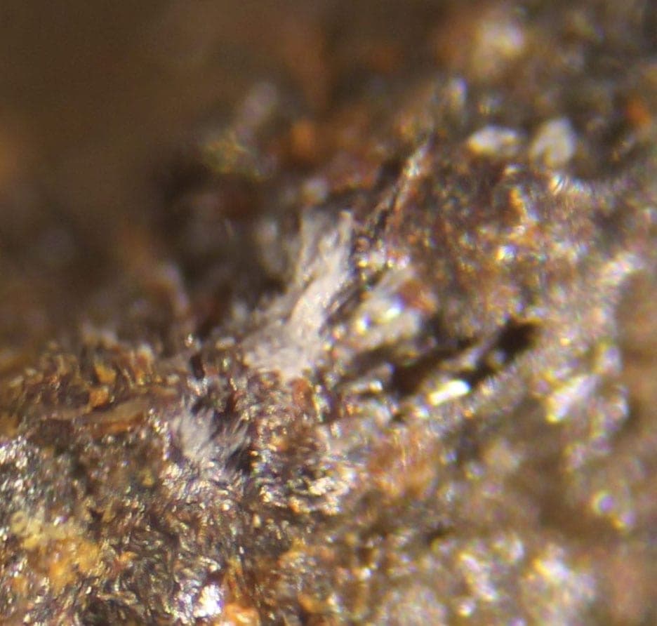 Brianite mineral