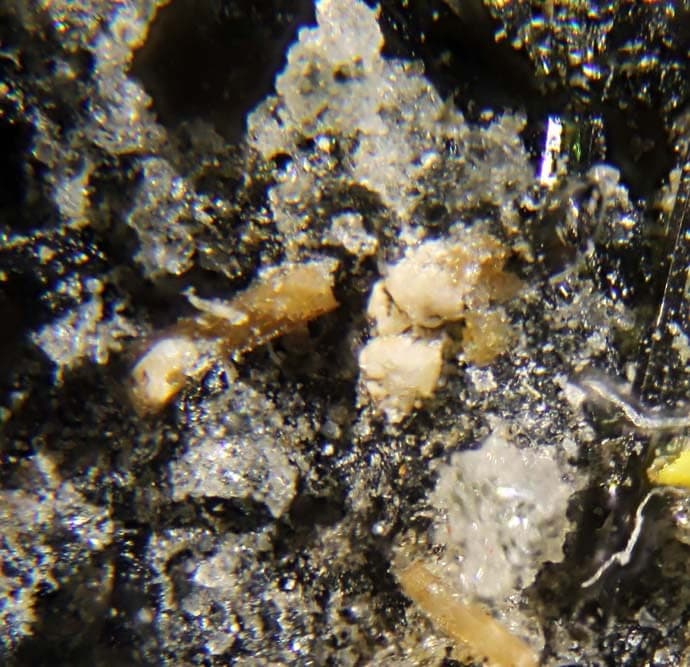 Calciohilairite mineral