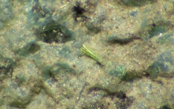 Calciopetersite mineral