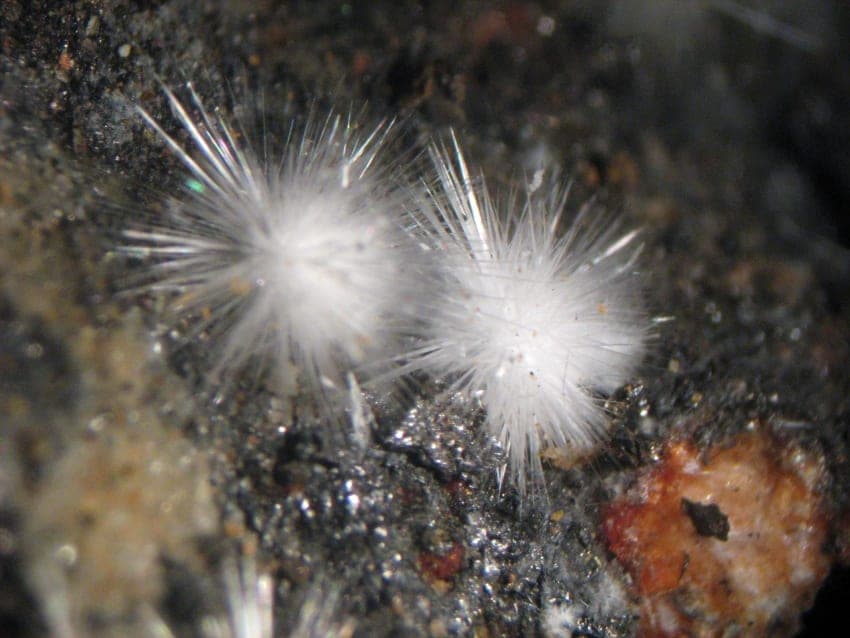 Canavesite mineral