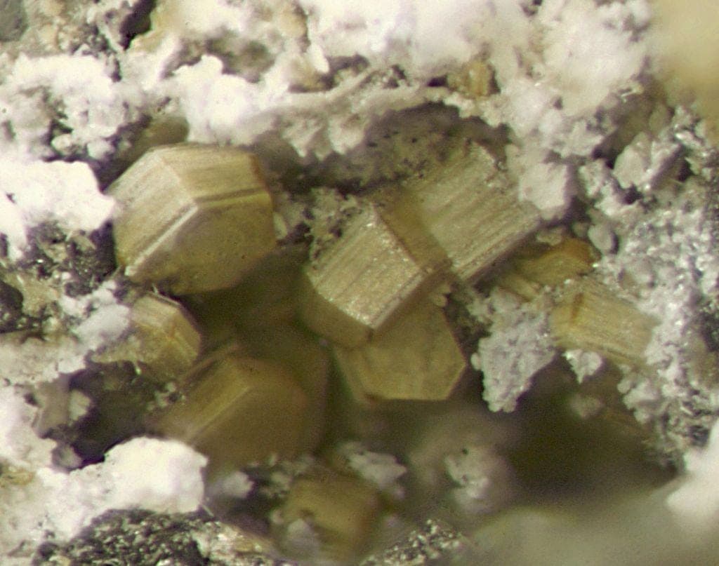 Caresite mineral