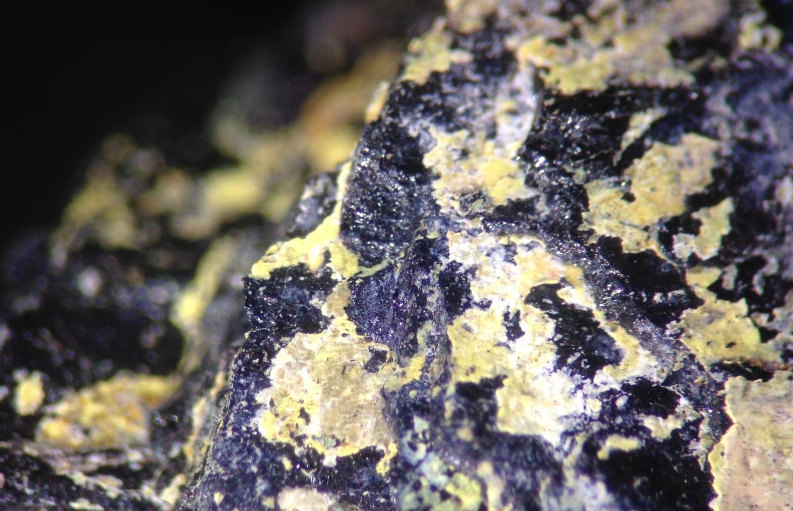 Carlosbarbosaite mineral