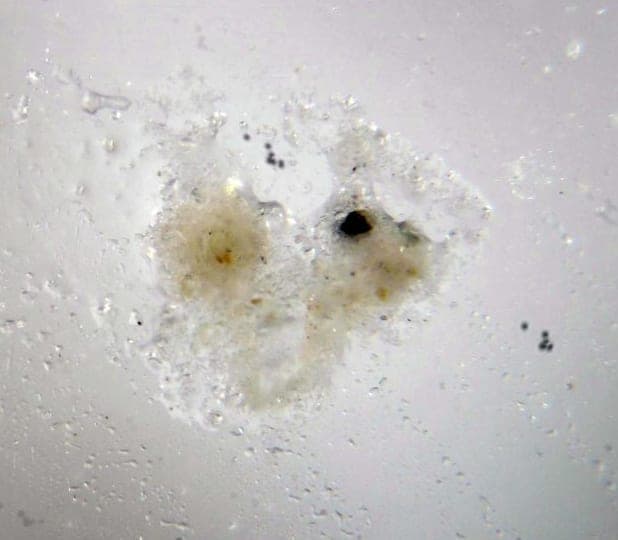 Carobbiite mineral