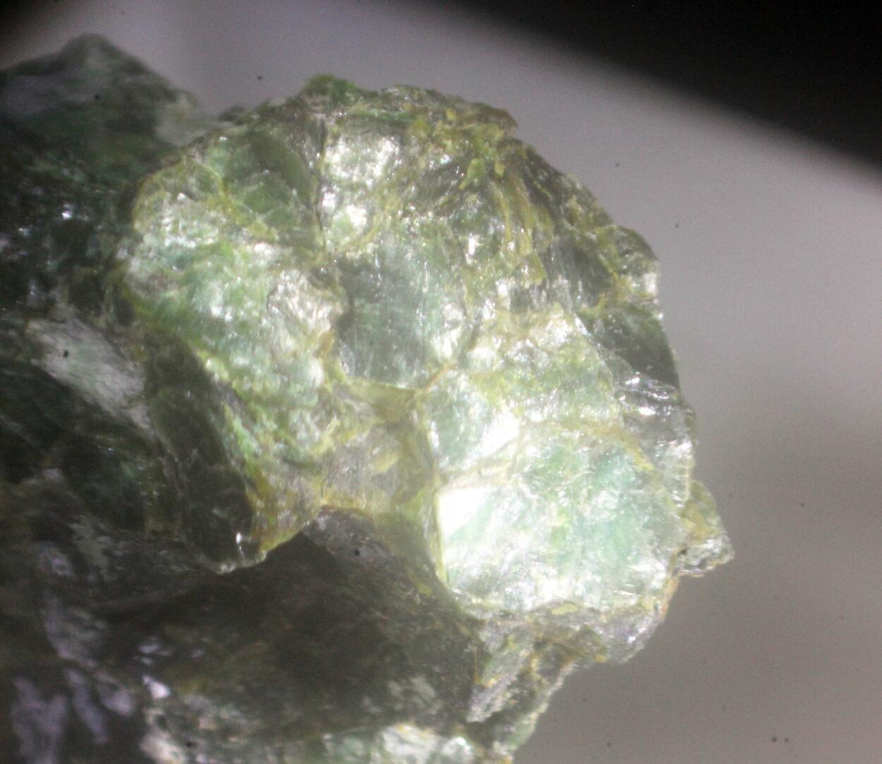 Cassidyite mineral