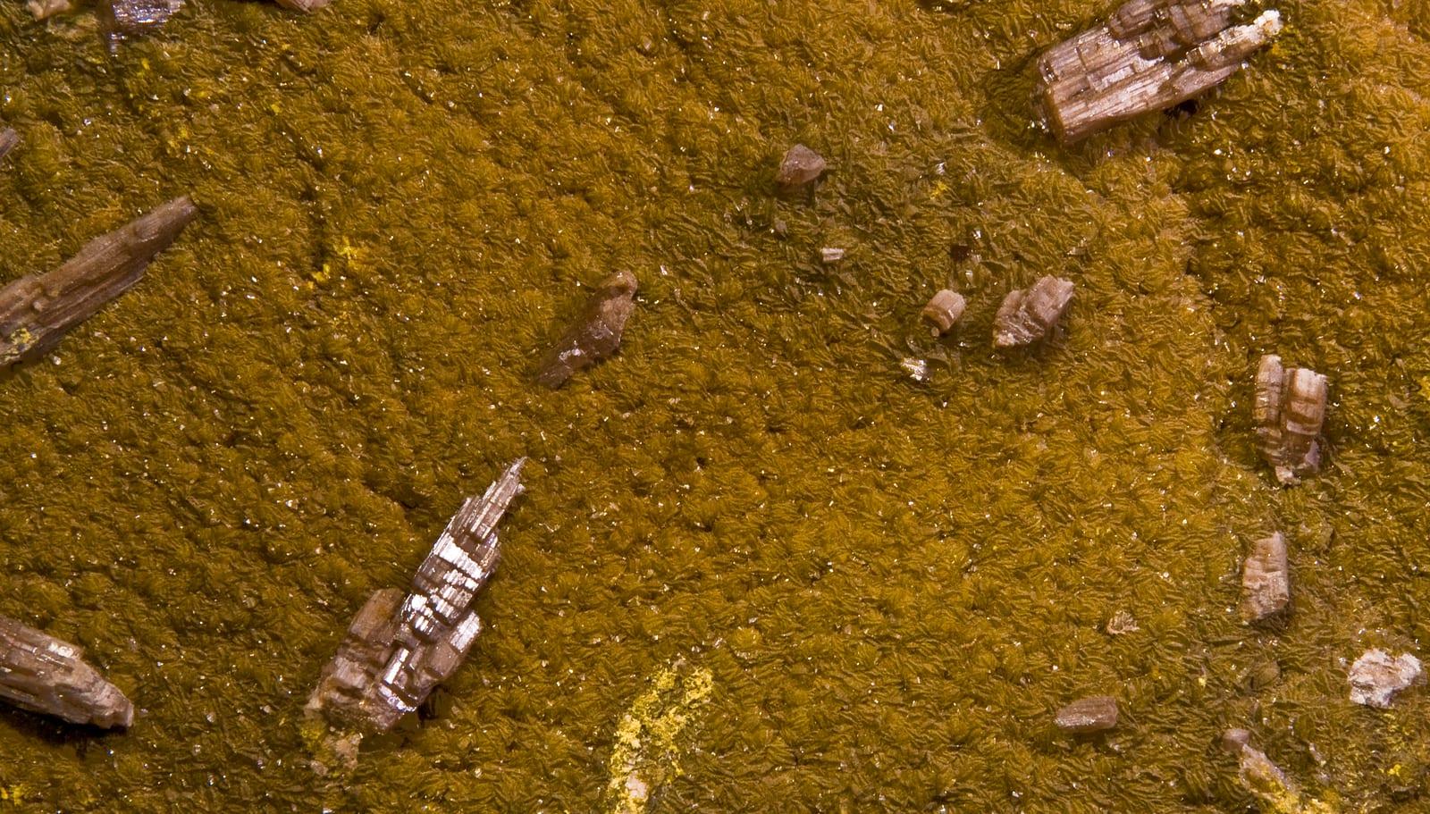 Chervetite mineral