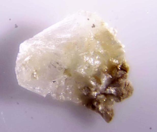 Clinobehoite mineral