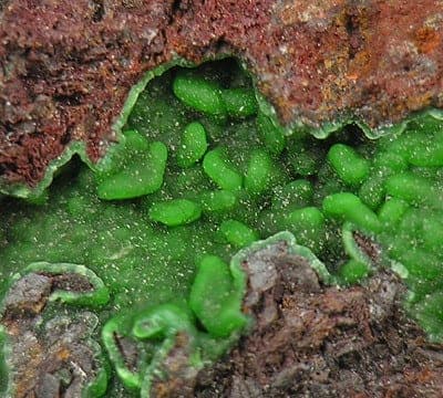 Cornwallite mineral