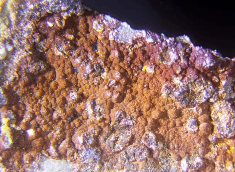 Cuzticite mineral