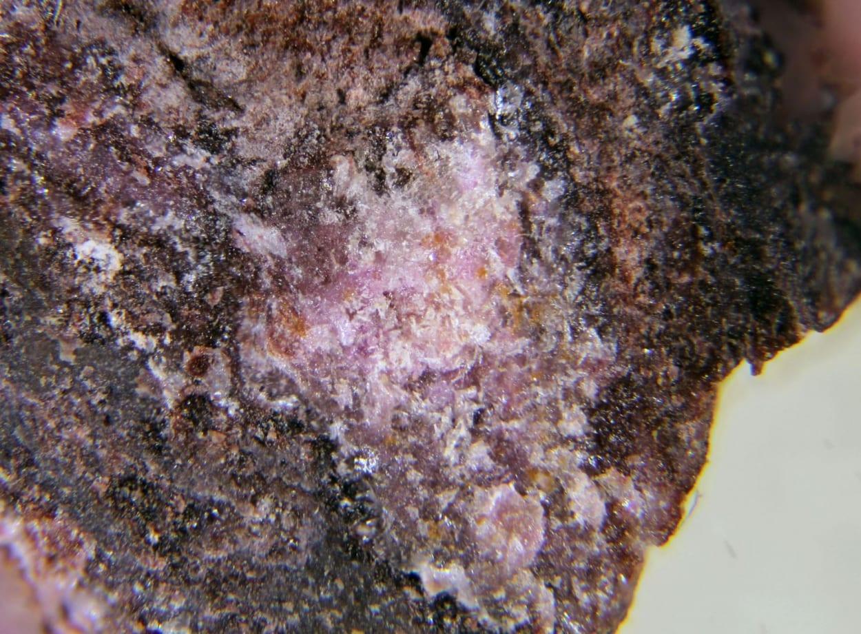 Darapiosite mineral