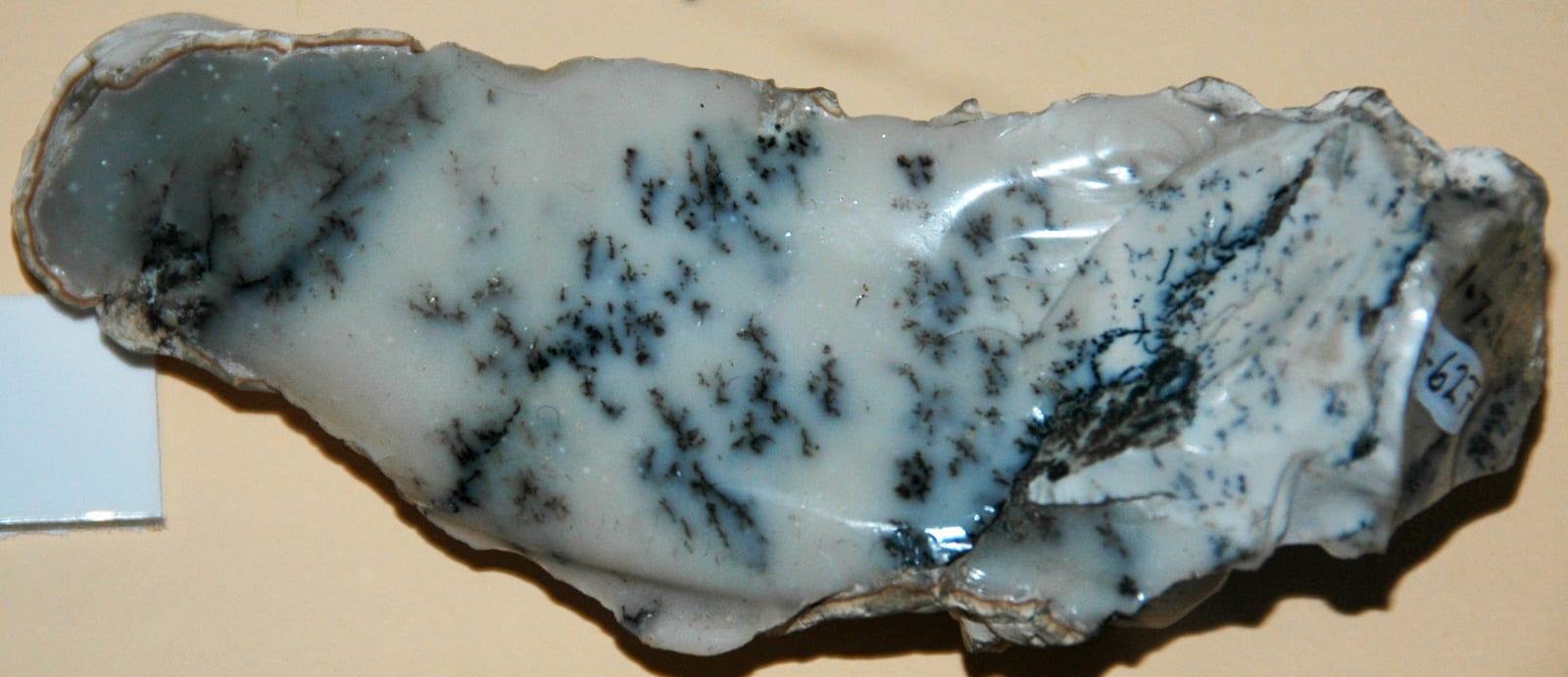 Dendritic Opal mineral