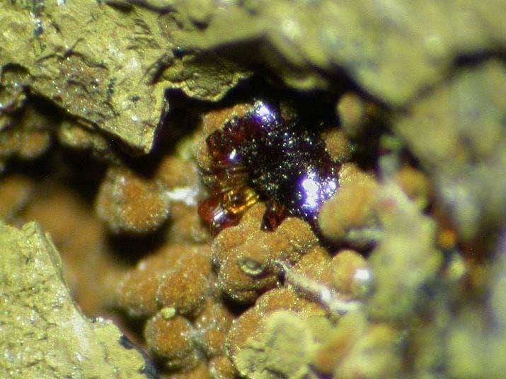 Earlshannonite mineral