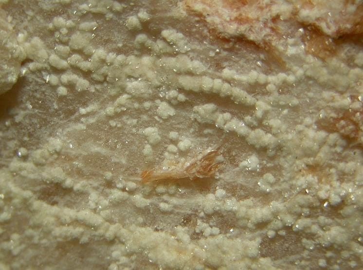 Englishite mineral