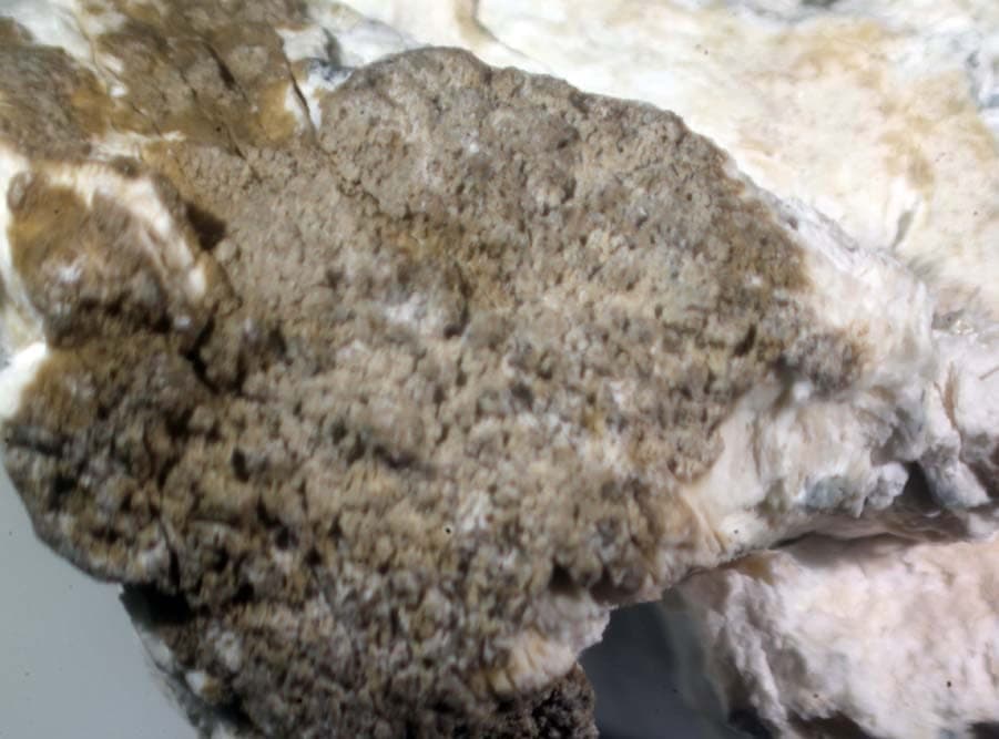 Esquireite mineral