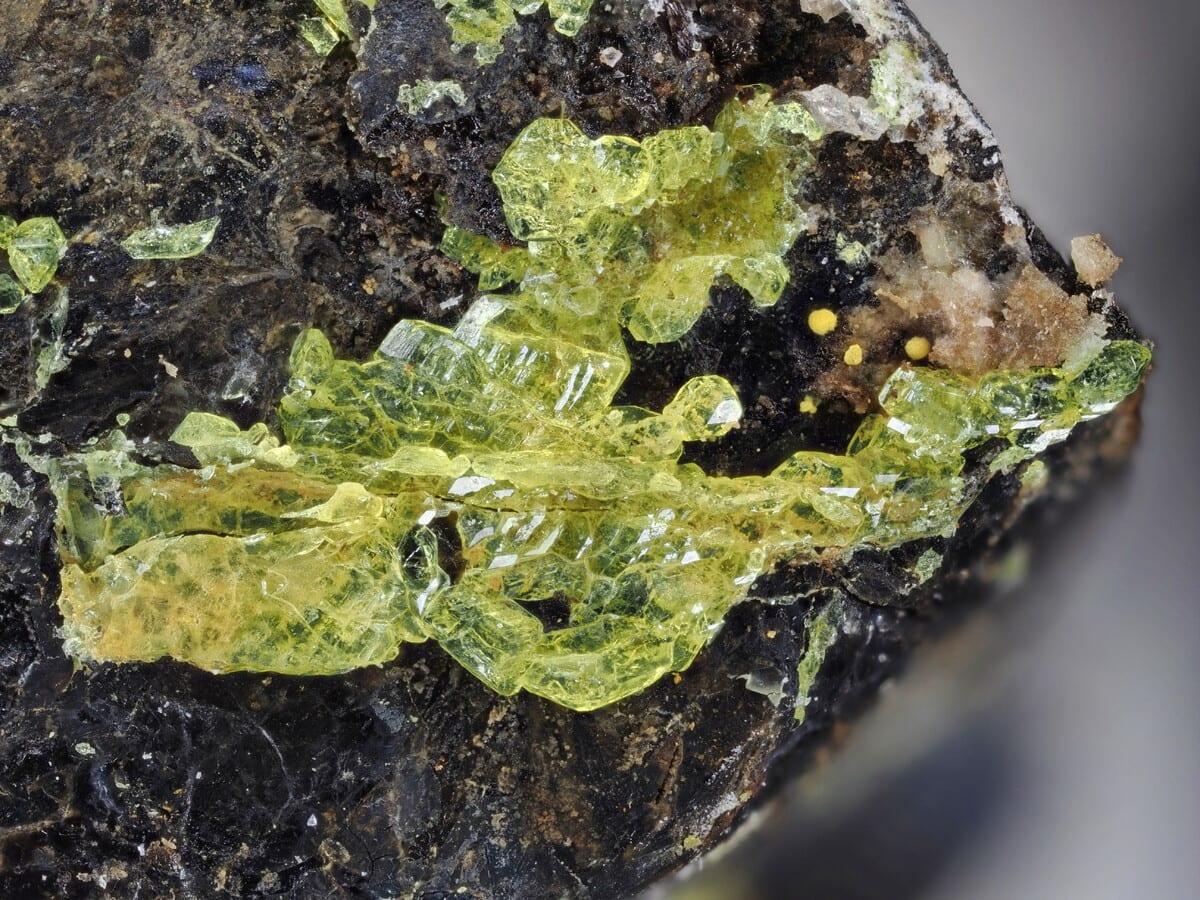 Ewingite mineral — Mineralatlas Lexikon (english Version)