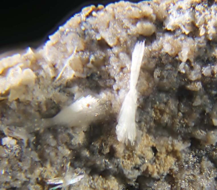 Ferrierite-NH4 mineral — Ferrierite NH4
