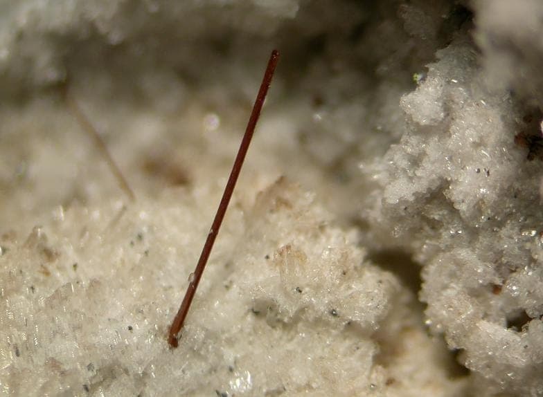 Ferro-edenite mineral — Ferro edenite 111337