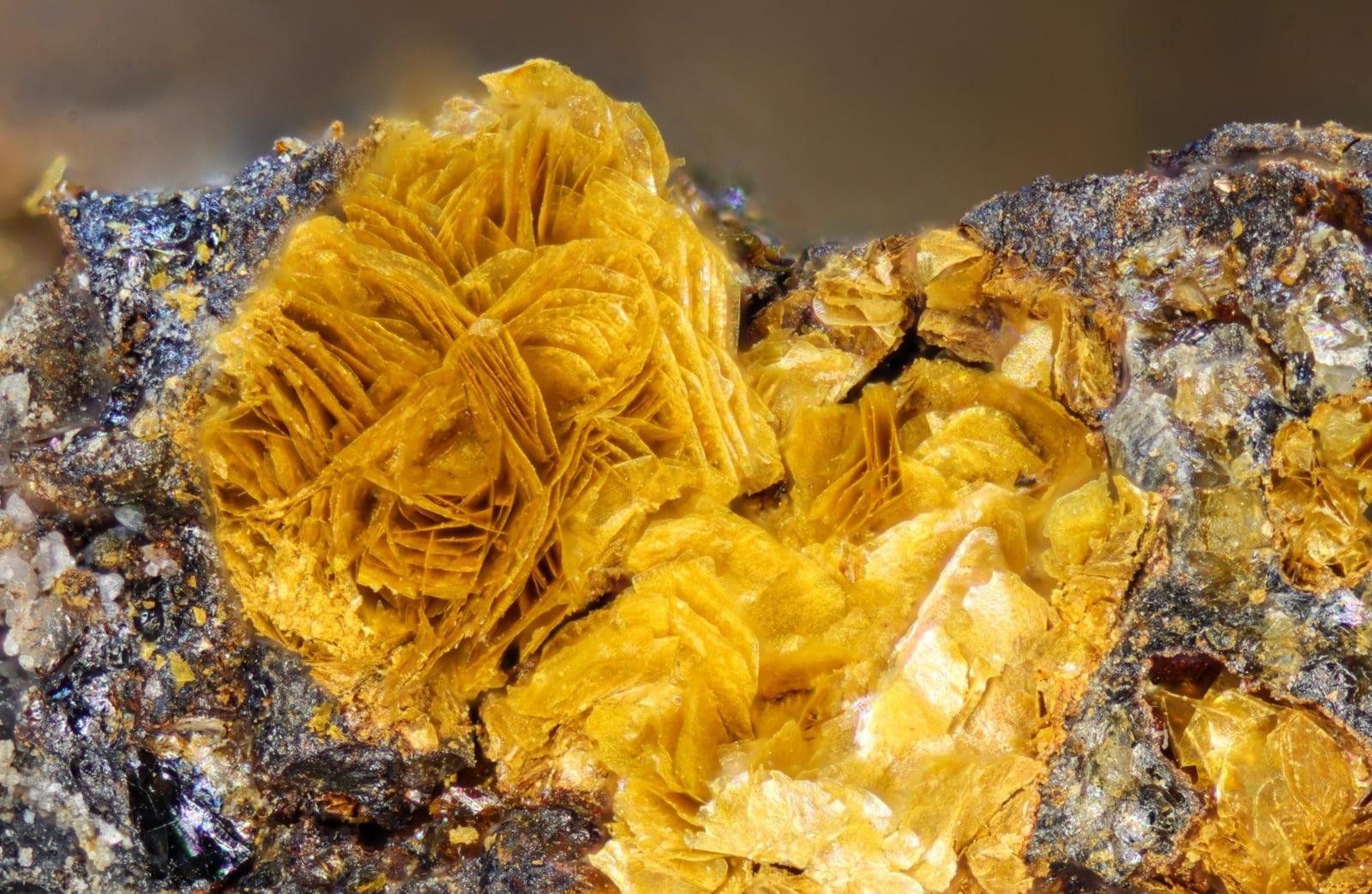 Fougèrite mineral
