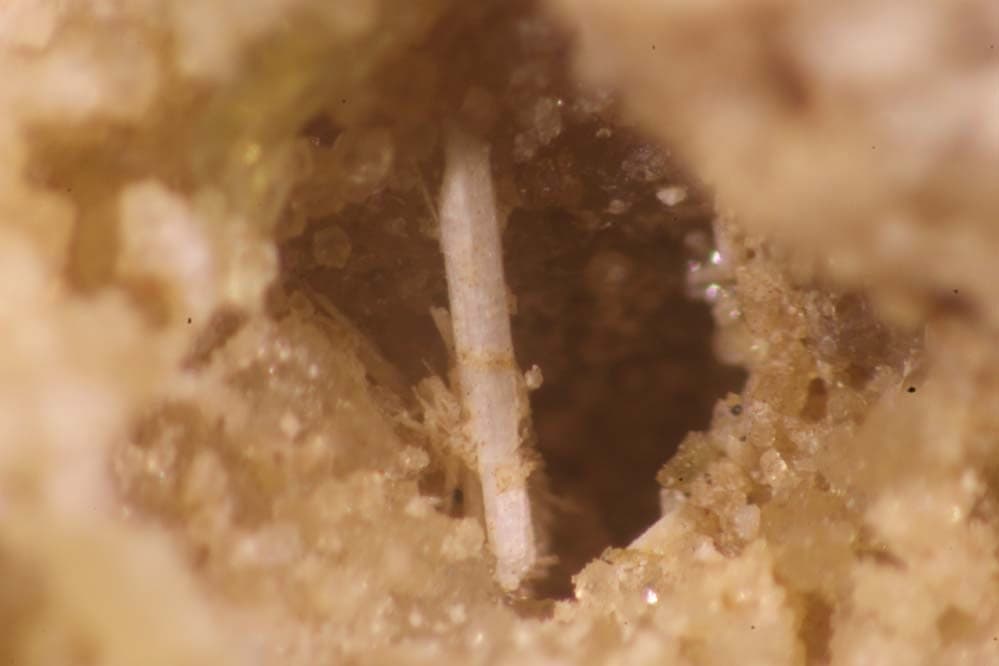 Franzinite mineral