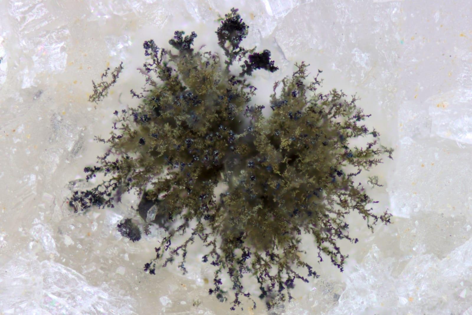 Geerite mineral