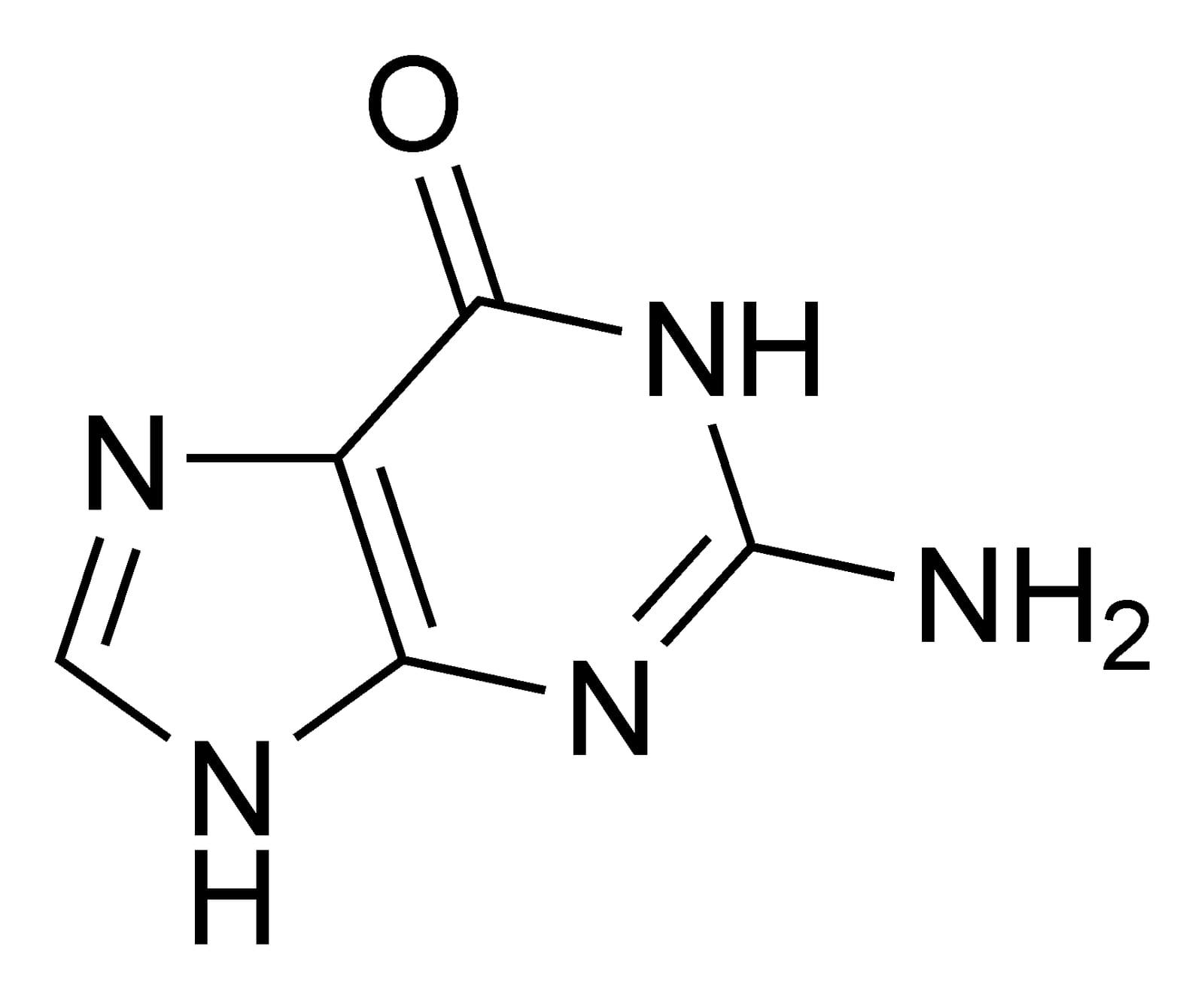 Guanine fossil