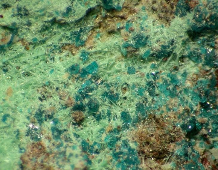 Haydeeite mineral