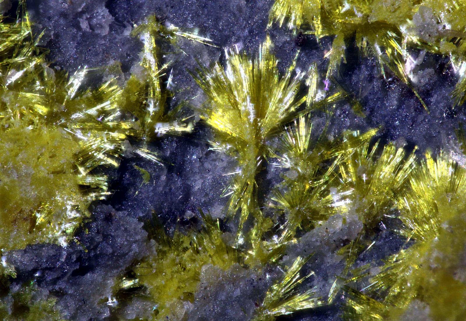Haynesite mineral