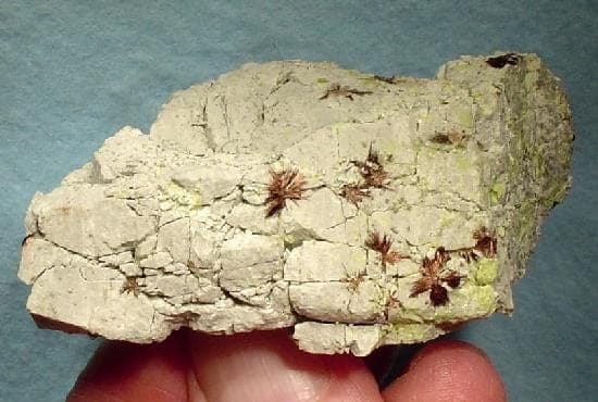 Hewettite mineral