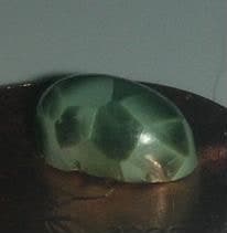 Isle Royale Greenstone chlorastrolite specimen