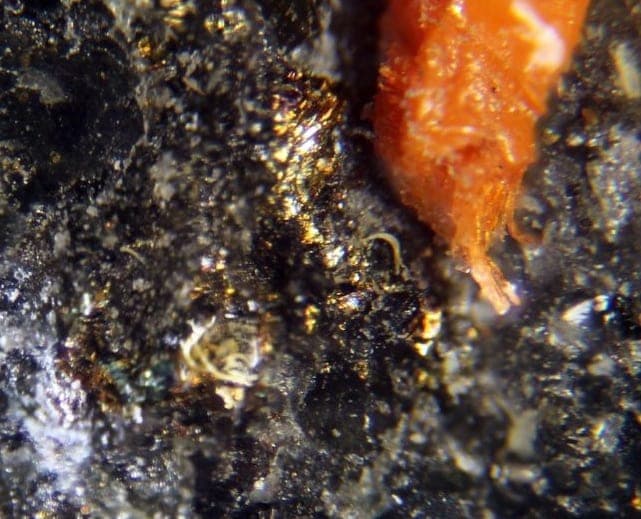 Jaskólskiite mineral