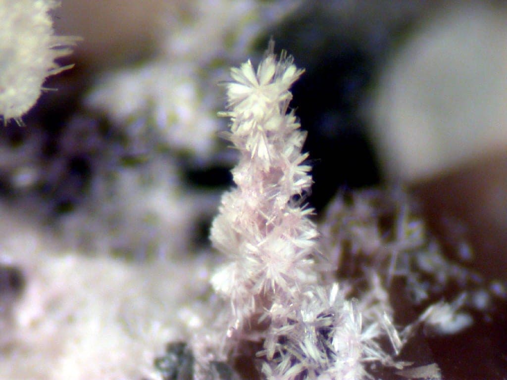 Jervisite mineral