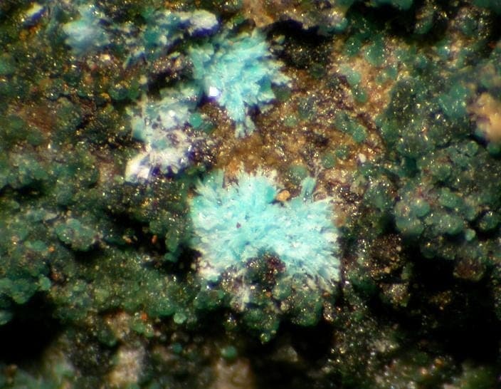 Kapellasite mineral