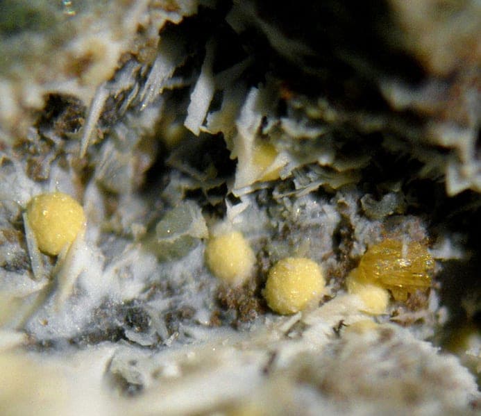 Kassite mineral