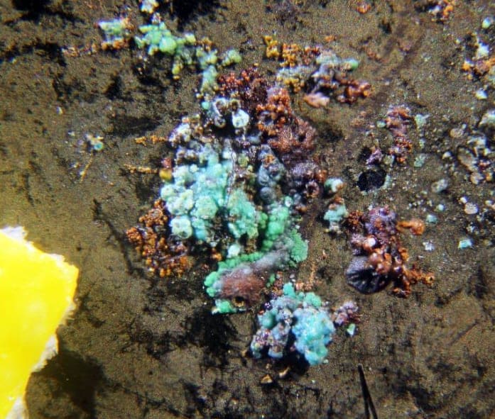 Kempite mineral